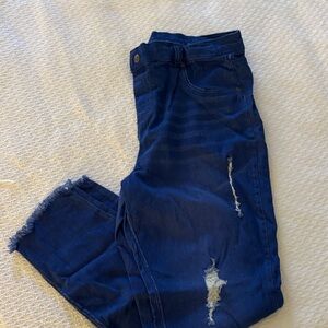 HUE Royal Blue  Distressed Leggings